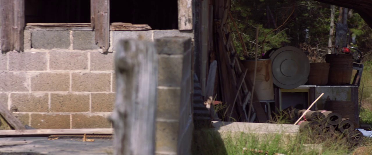 Sparkle - A Unicorn Tale (2023) BluRay Hindi + English 720p x264 AVC DDP 5.1.mkv.0004